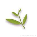 柬埔寨生活不易,一个人在柬埔寨该怎么生活