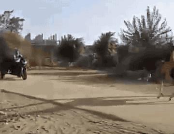 抽烟只抽红塔山此生注定不一般,抽烟只抽红塔山的歌怎么唱