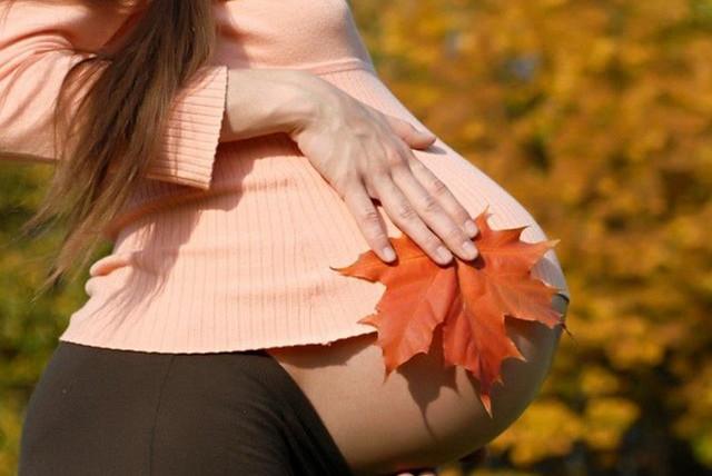 怀孕23周正常的胎儿图,23周胎儿能存活吗