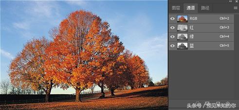零基础ps抠图换背景详细步骤,ps局部换背景图片教程