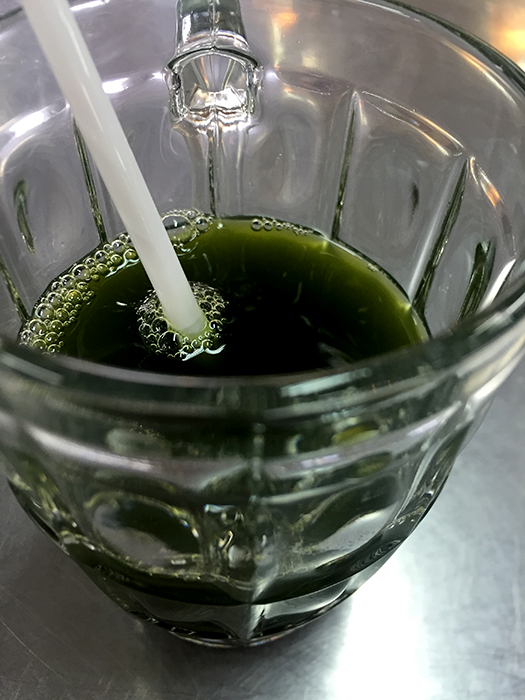 泰国清迈必买购物攻略,泰国之行