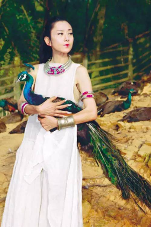 杨丽萍古装照片 (优雅女人杨丽萍)