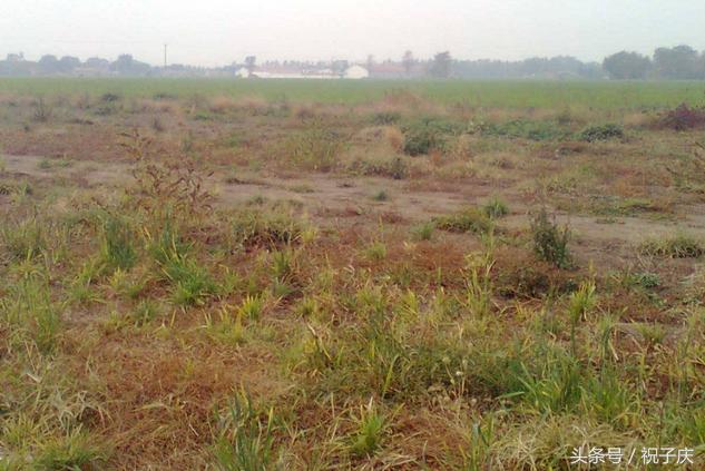 土地确权了农民还能有宅基地吗,土地确权注意些什么问题