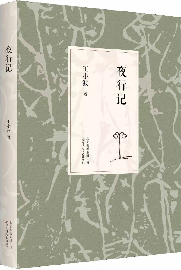 王小波逝世20周年｜他是如此独特，无人可以行走在他左右