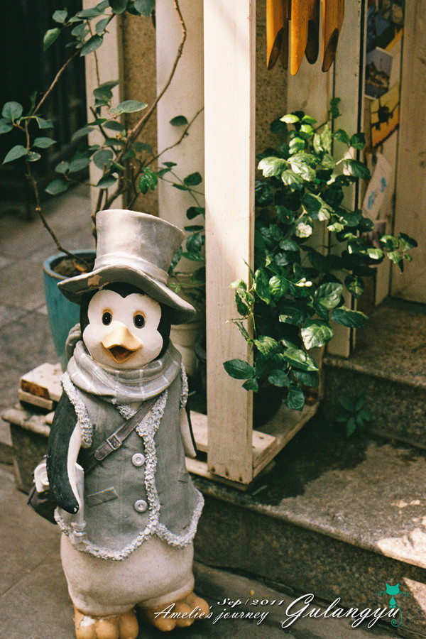 鼓浪屿完整攻略 (鼓浪屿详细攻略大全)