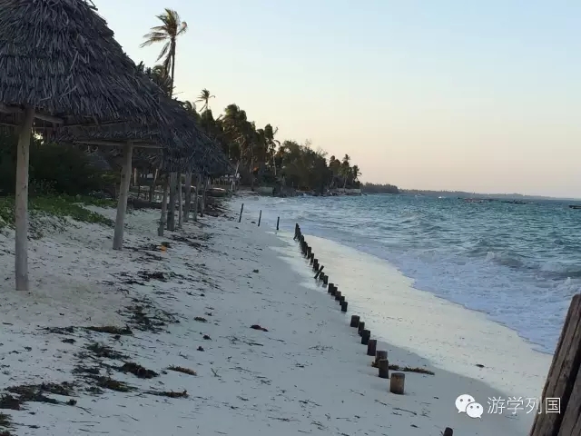 一生必去一次的非洲坦桑尼亚｜回归狂野