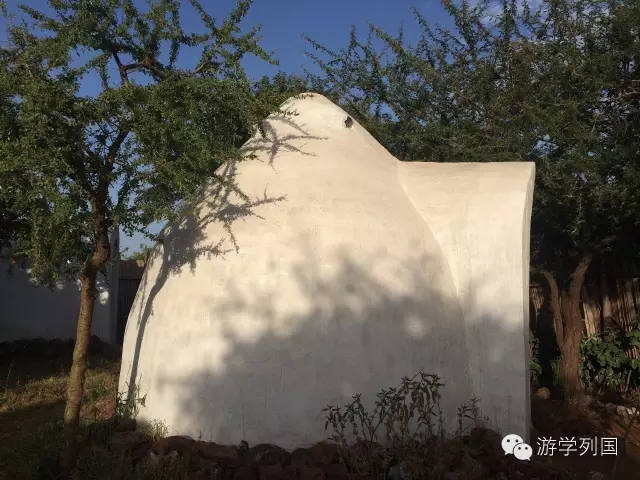 一生必去一次的非洲坦桑尼亚｜回归狂野