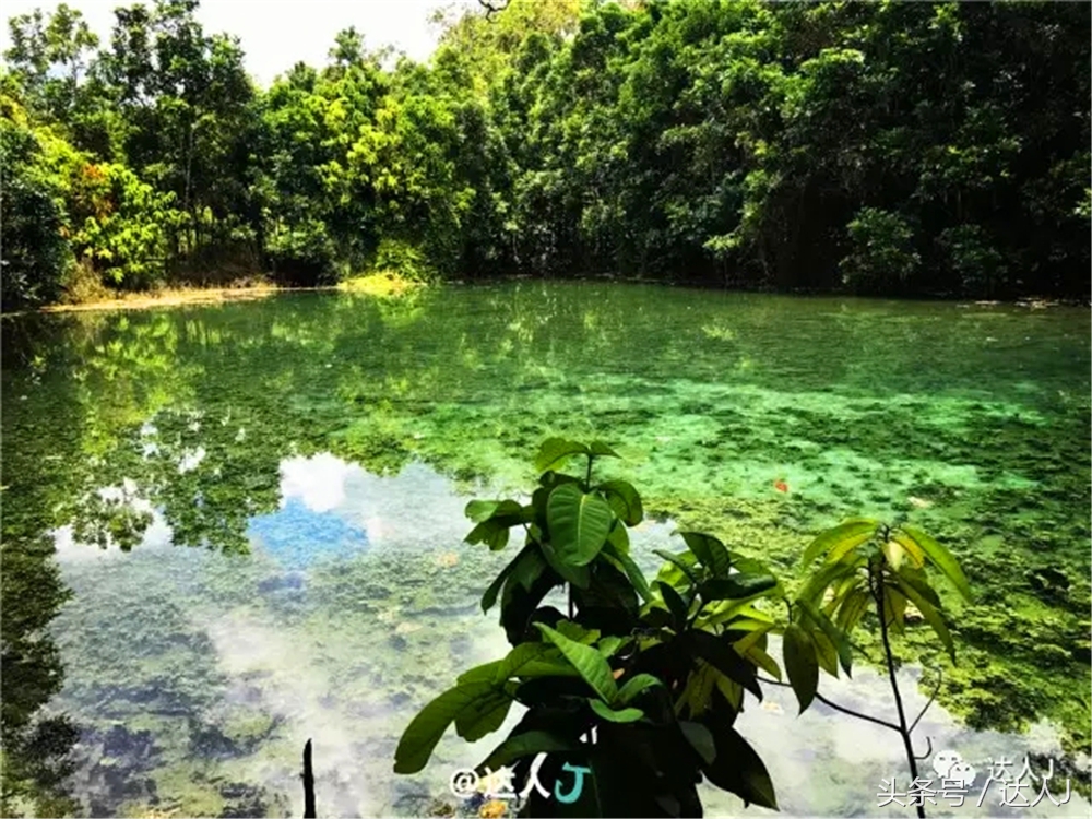 显然不适合玩婚内出轨!全泰国最大的泳池原来在这里