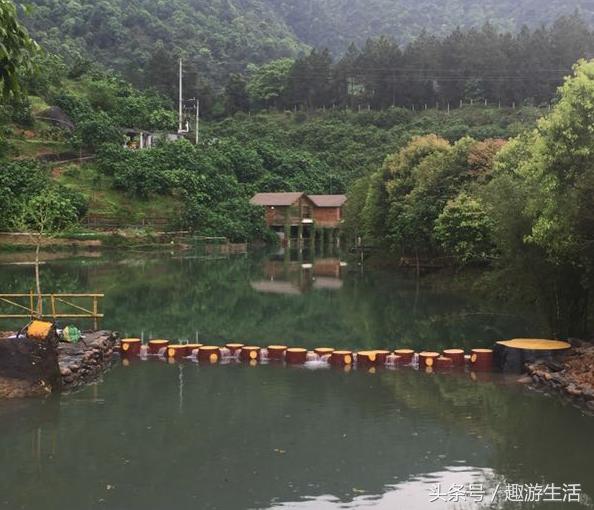 珍稀果种嘉宝果,珍稀福冈嘉宝果