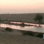 爆笑GIF图片,搞笑gif趣图乒乓球新打法