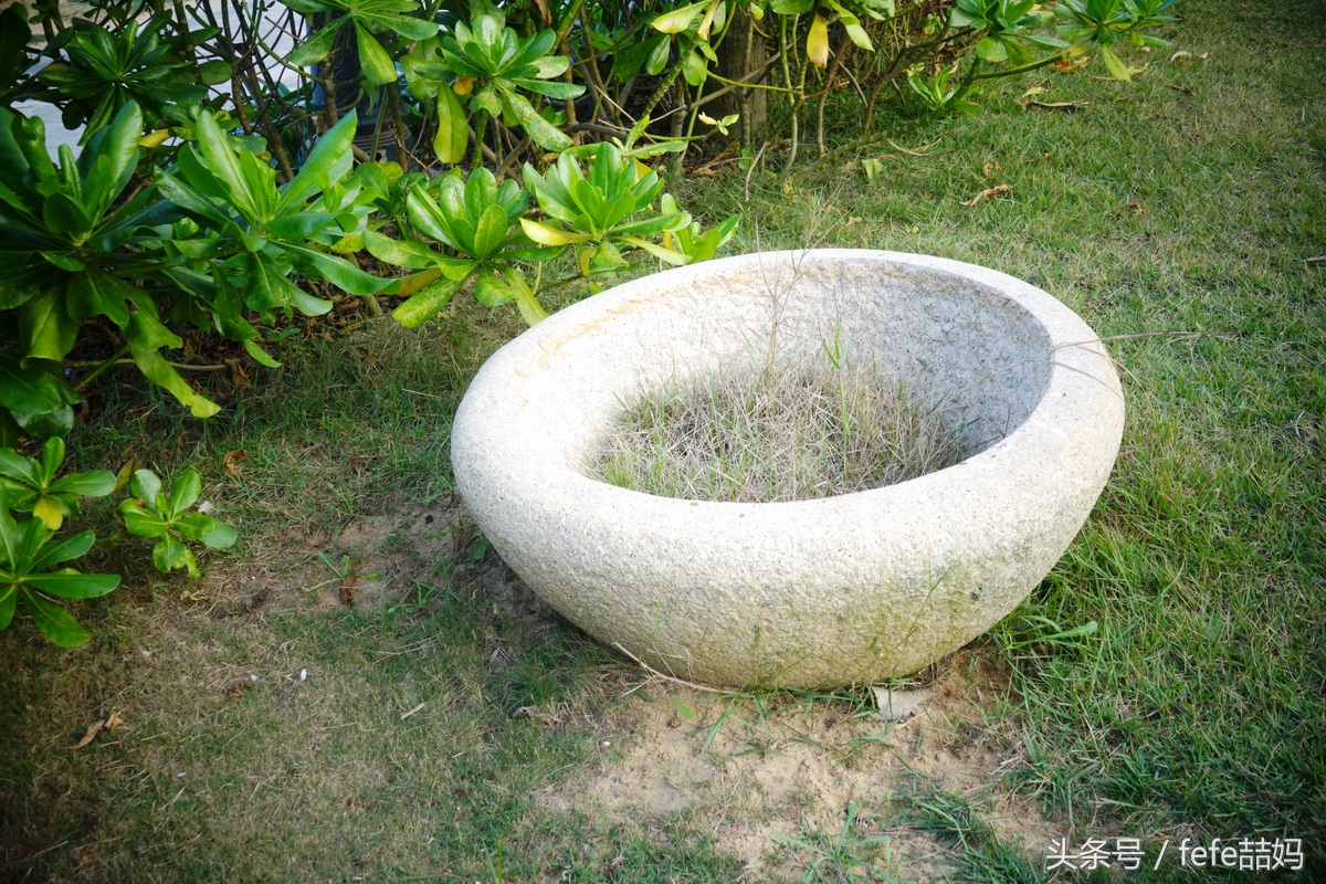 海口旅游高端度假酒店攻略,五一度假推荐海口附近