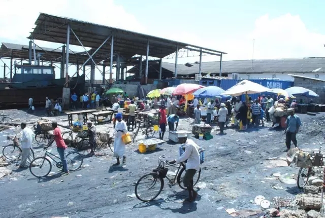 一生必去一次的非洲坦桑尼亚｜回归狂野