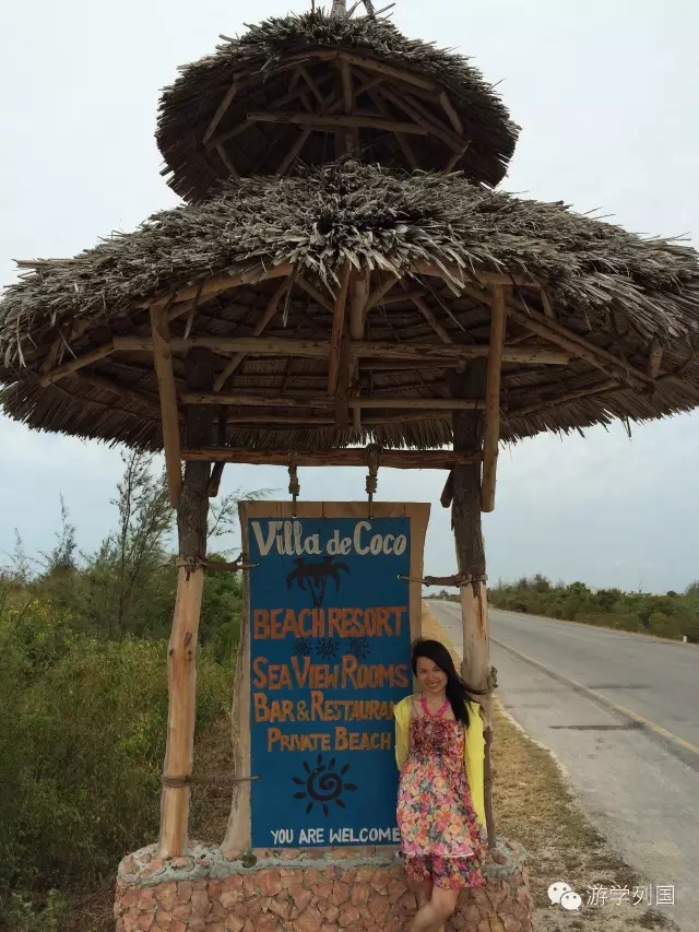 一生必去一次的非洲坦桑尼亚｜回归狂野