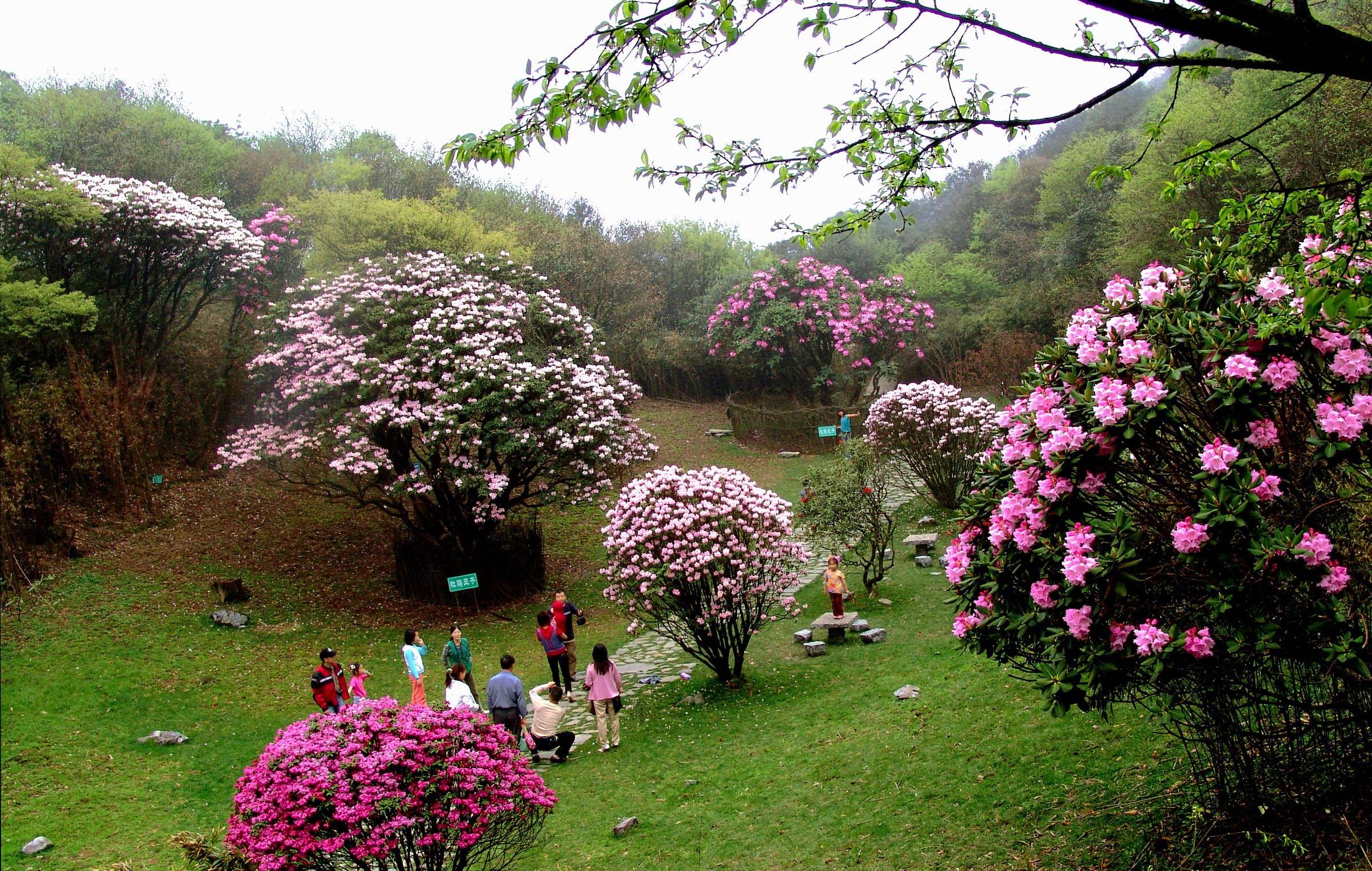 成都电影拍摄地打卡,重庆成都取景地