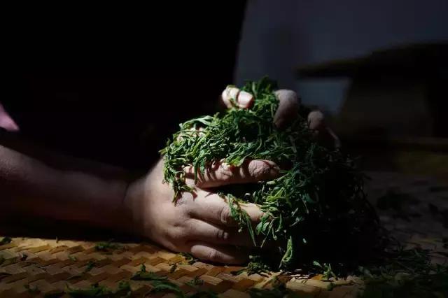 喝茶到底要不要繁杂的茶道,喝茶人必知的十种茶道行话