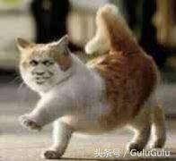 最开始进军中国的游戏公司,国内游戏公司三大巨头都有哪些