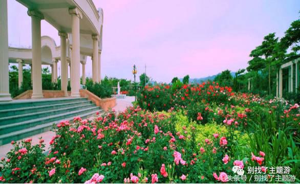 佛冈森波拉奇妙世界乐园门票,佛冈熹乐谷温泉2天游