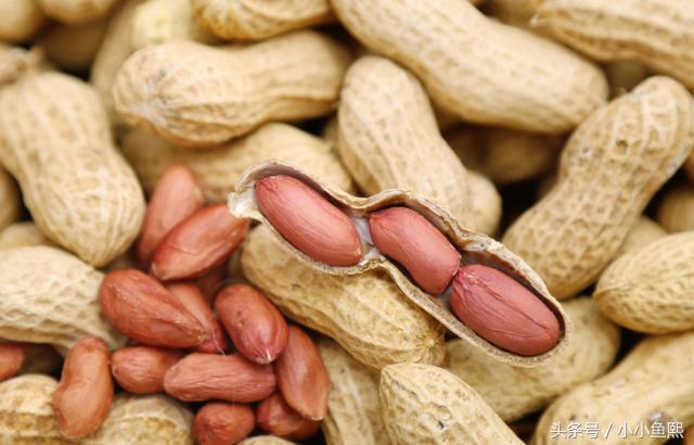 关注孩子健康，哪些食物孩子不宜多吃呢？