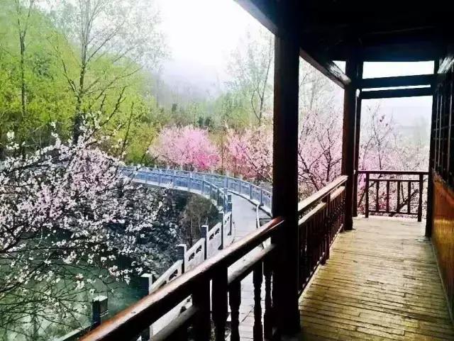 4月15日，大鸿寨将上演一场千人吃春的花草养生宴