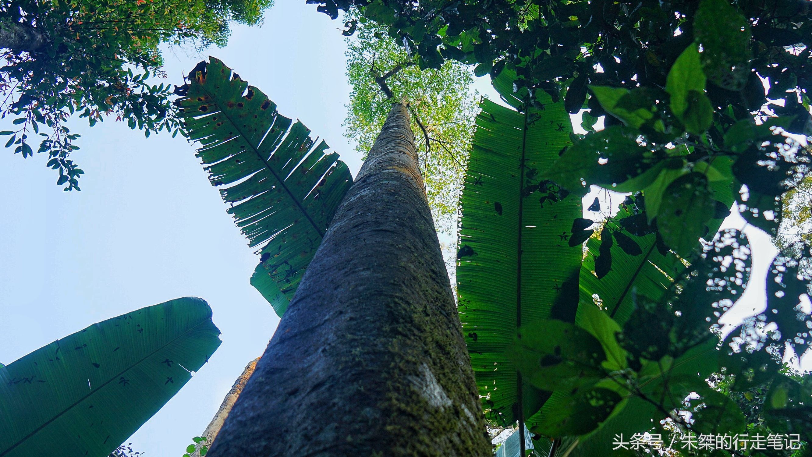 版纳颈椎治疗,西双版纳治疗颈椎好的按摩仪器