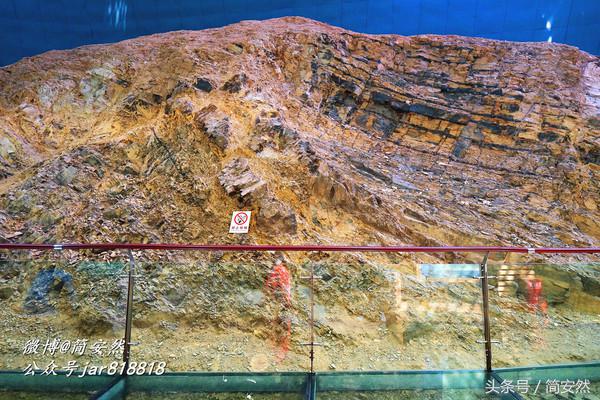 几亿年前海洋生物,生命摇篮澄江老照片