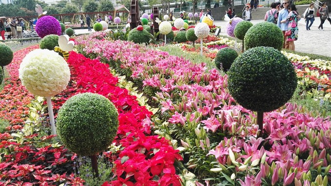 澳门一日游最佳方案,澳门免费巴士景点一日游