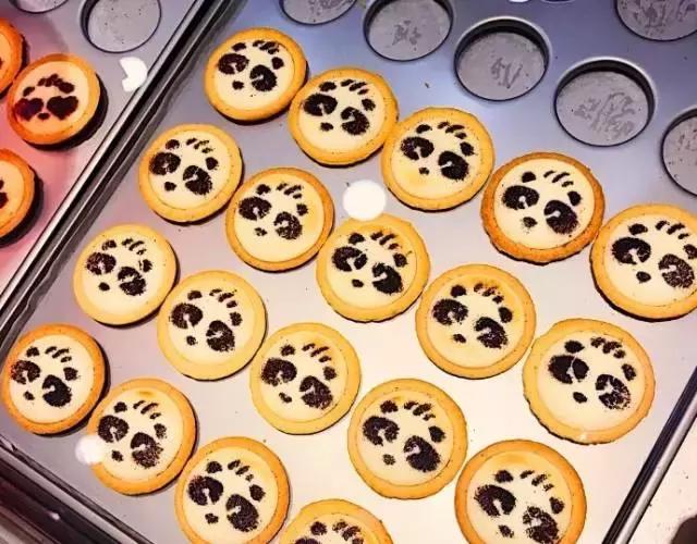 推荐一款减脂可以吃的奶酪芝士,芝士十大必吃美食