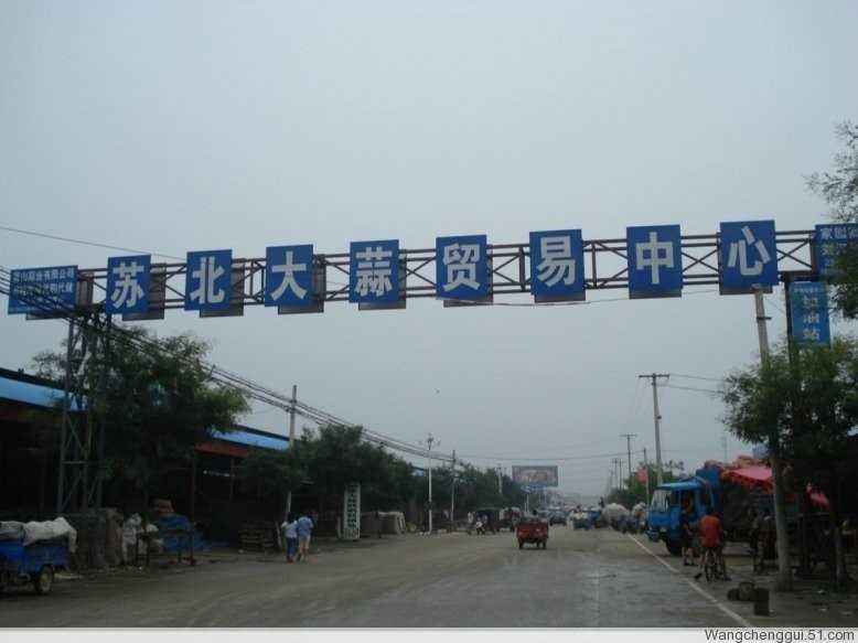 一起走进中国大蒜第一镇