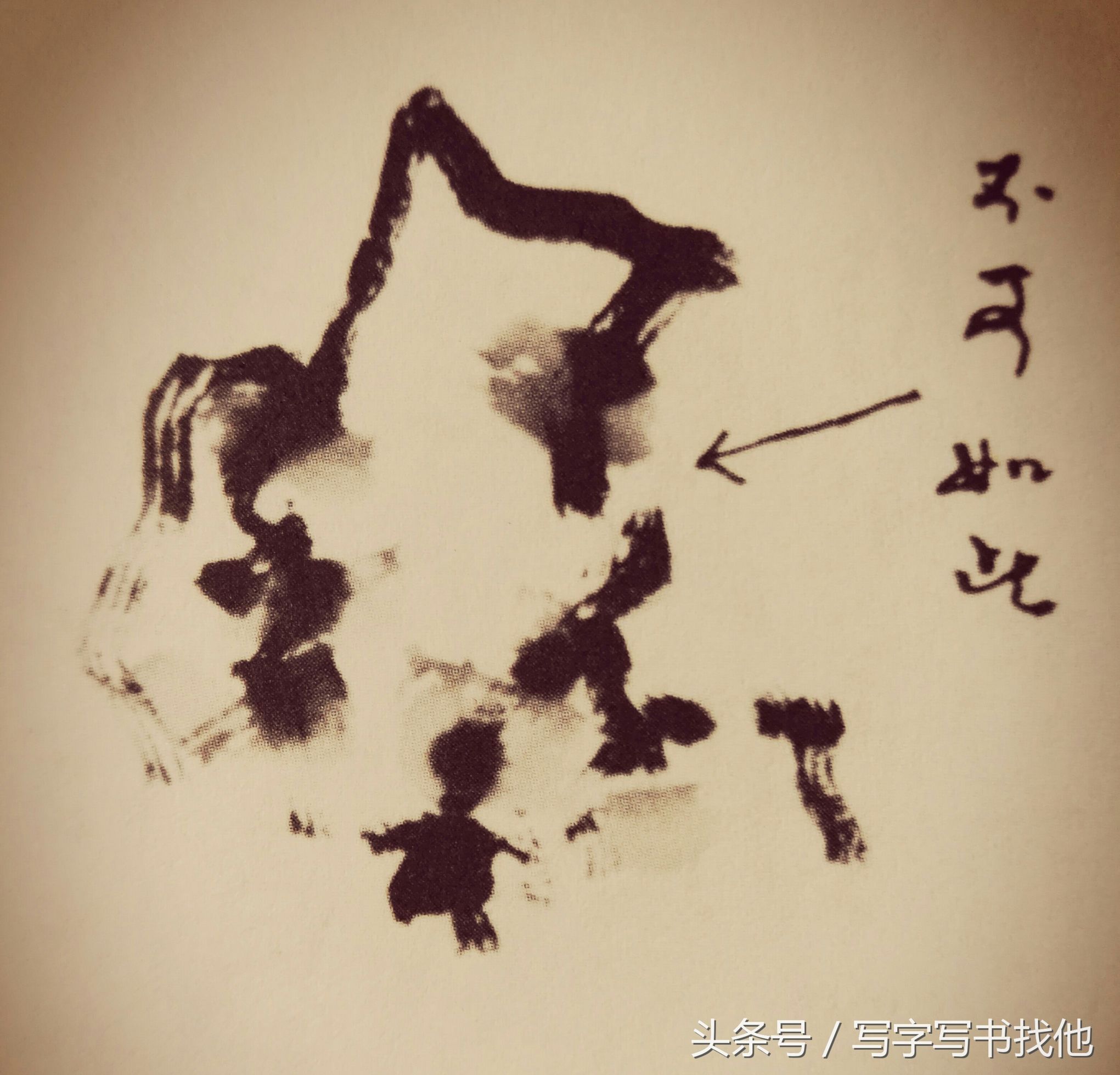 画湖石的每个步骤和技巧以及注意事项，全在这里