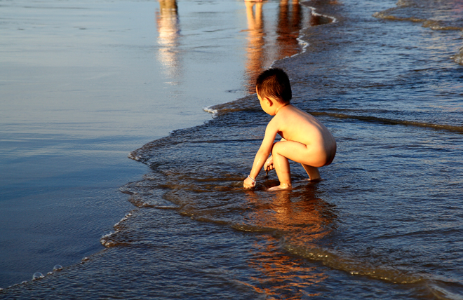 你在海边捡到过什么宝贝,你在海边捡到过什么东西
