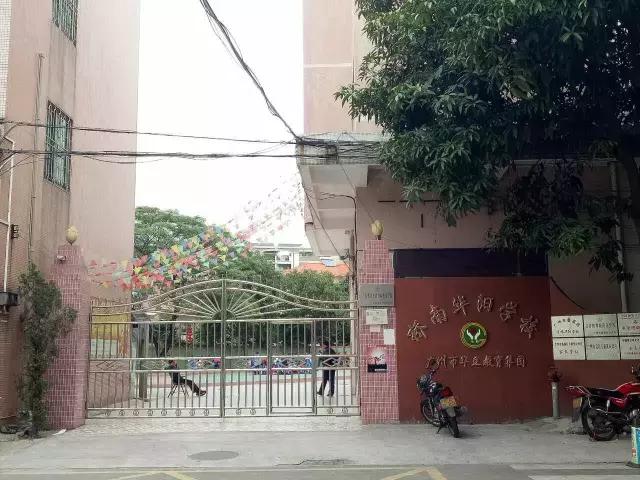 番禺|桥南两所民办小学开始接受报名咨询,预计招生450人!