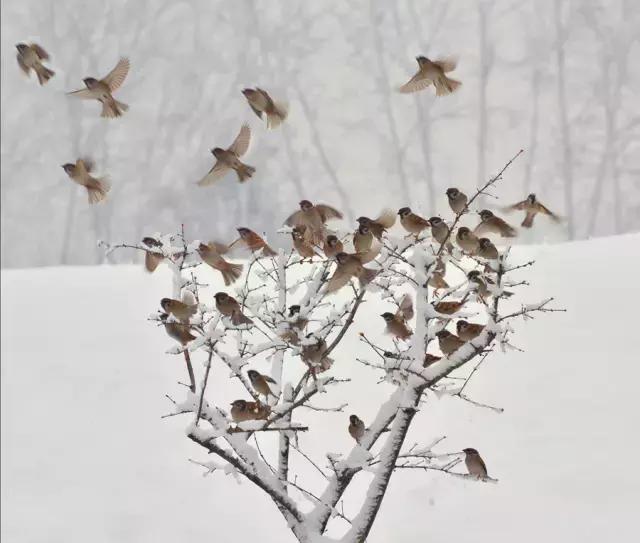 夫妻和谐的万能秘诀,夫妻和谐法则