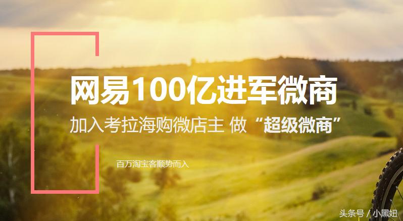 考拉超市加盟要多少钱,商家如何入驻考拉海购