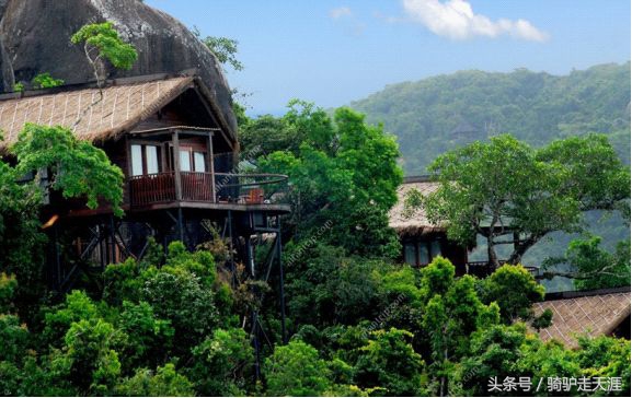 骑驴走天涯完整版,骑驴上三亚