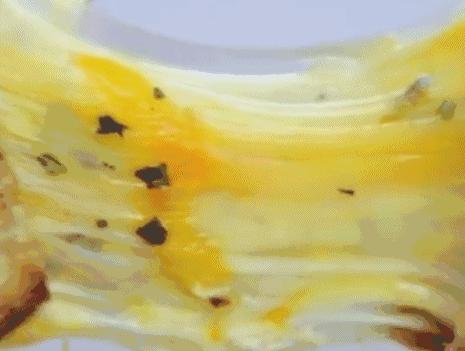 推荐一款减脂可以吃的奶酪芝士,芝士十大必吃美食