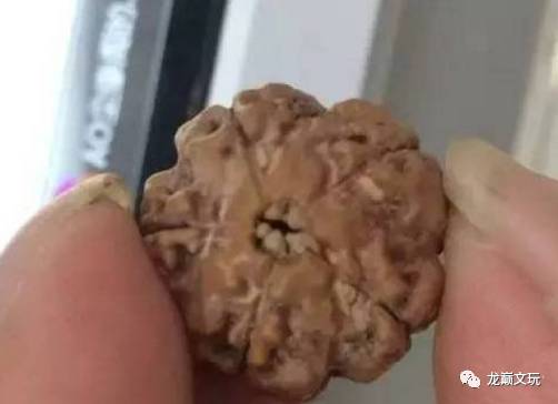 爆肉金刚咋看真假,金刚1024正品和仿品