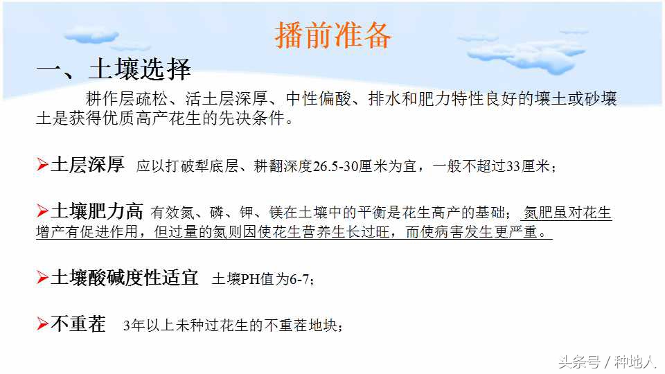 马上开始播种花生,快要种花生了