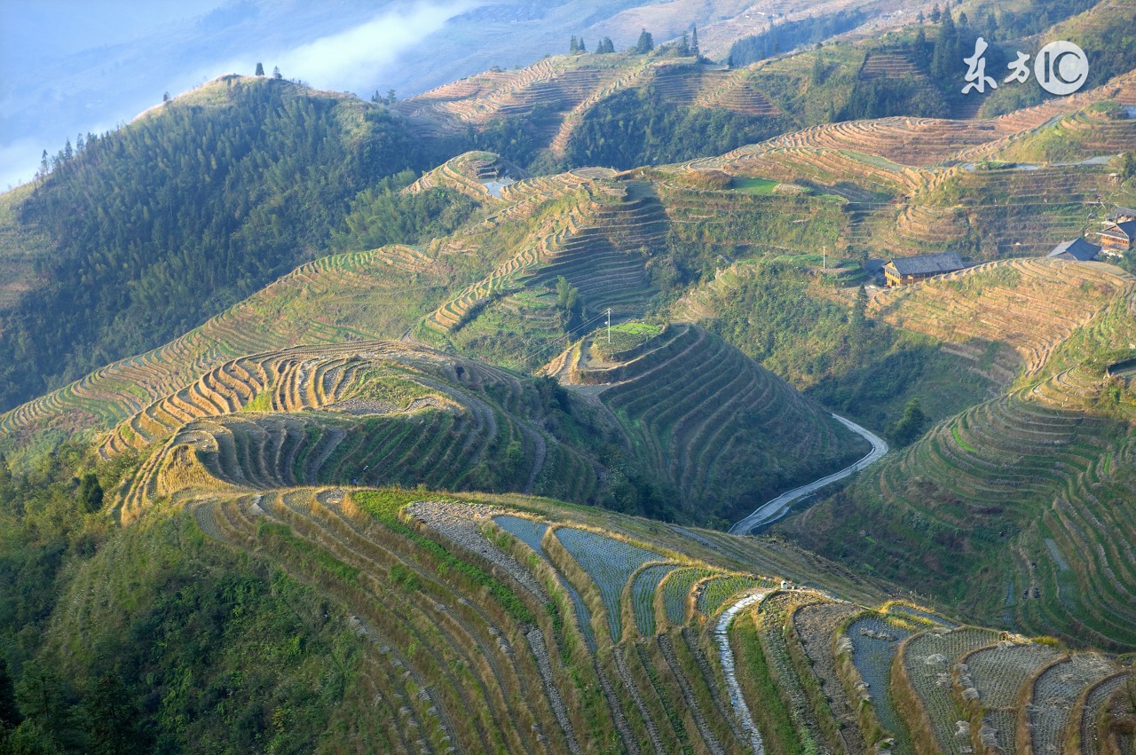 阳朔自助游攻略完全版,广州去阳朔自助游攻略