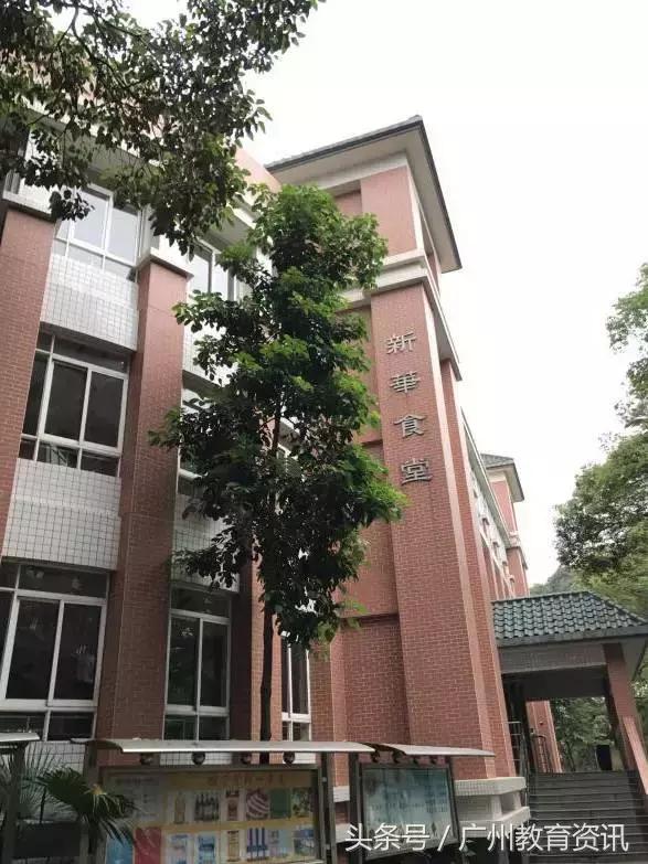 小升初进入真光小学需要什么条件,2021真光实验小升初分班考时间