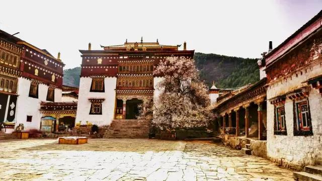 行，方知天上人间