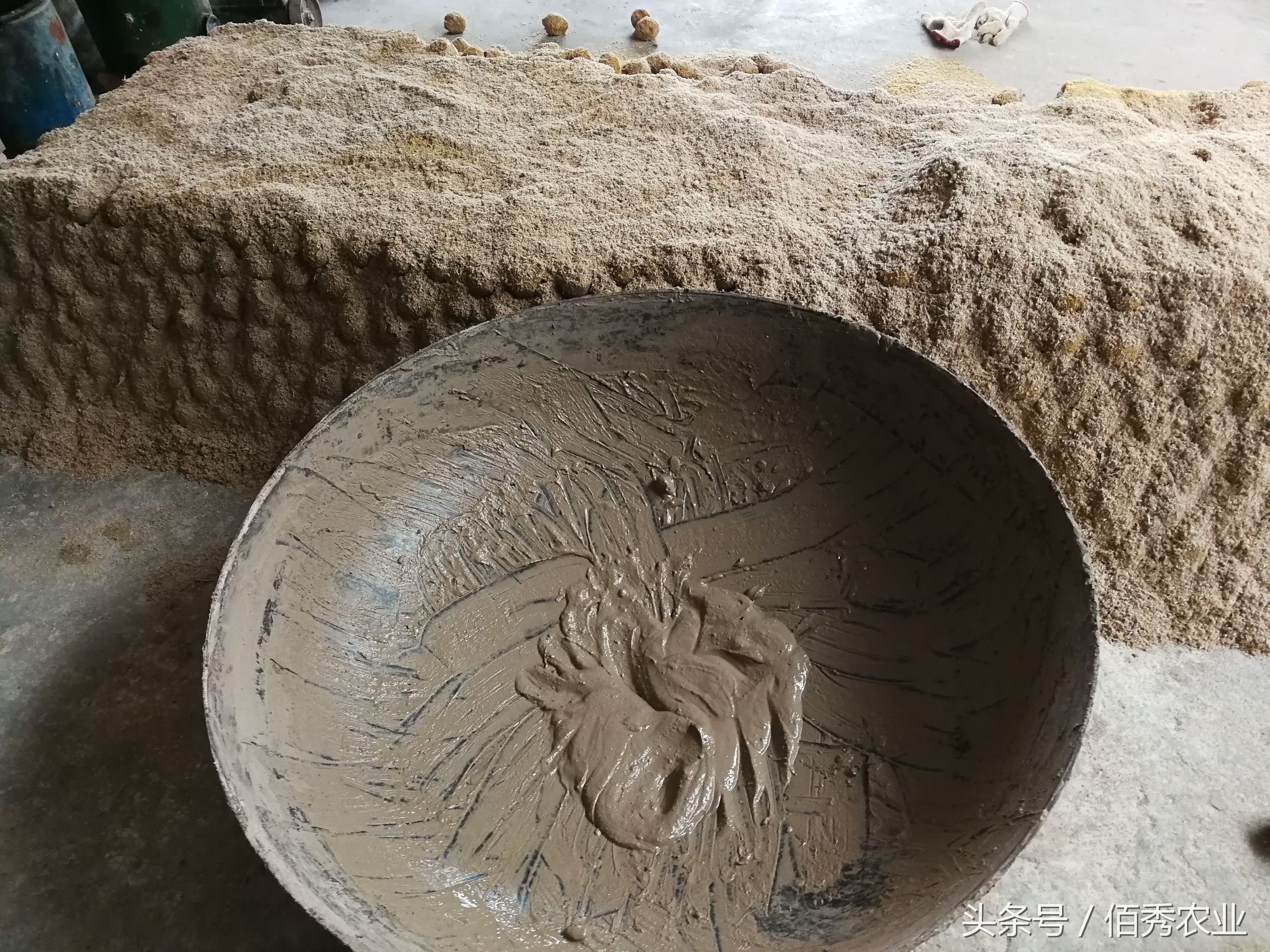 五毛钱一个的变蛋，能治痢疾肚子疼！