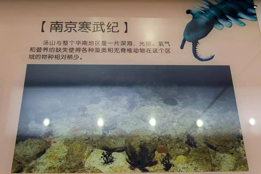 探寻人类的起源之谜,探寻人类祖先的奥秘