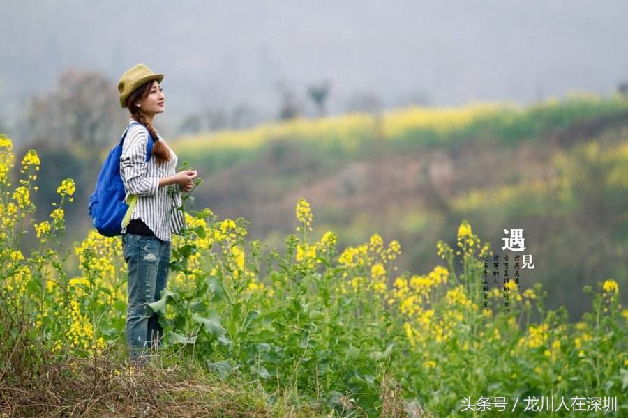 龙川遇见桃花源,龙川一见钟情