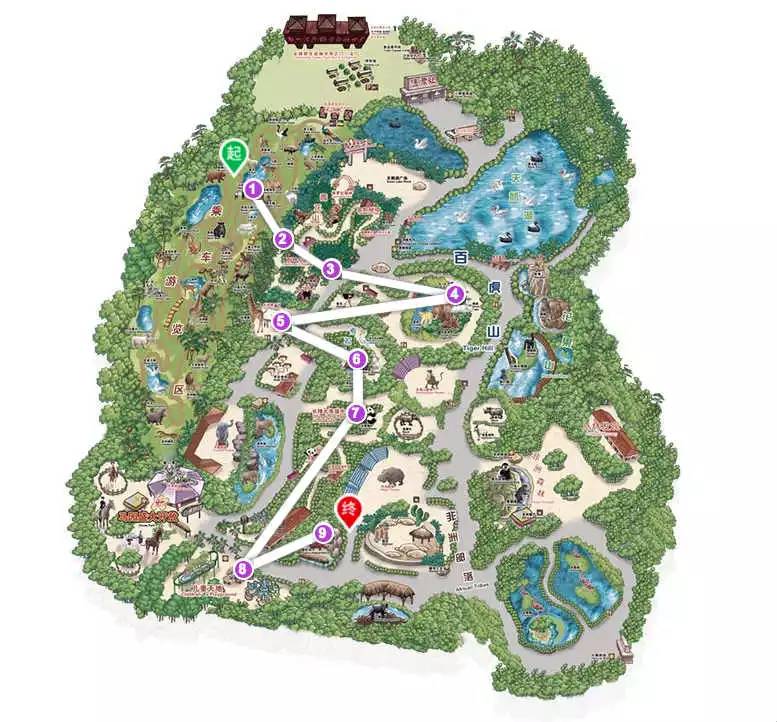 长隆野生动物园自驾游导游,广州长隆野生动物园有导游吗