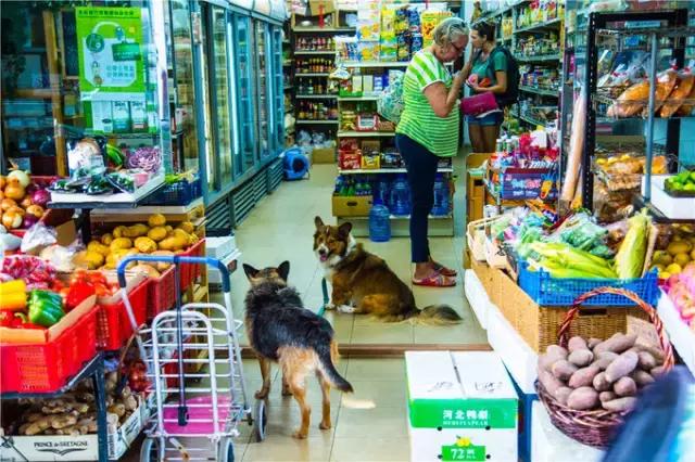 香港tvb的发展历程,香港tvb怀旧之旅