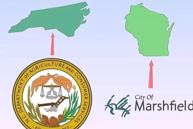 一个成熟的花店该如何运营,零基础教你如何开好一家花店