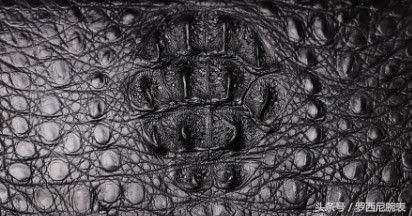 皮带牛皮还是鳄鱼皮 (皮带 鳄鱼皮和牛皮哪个好)