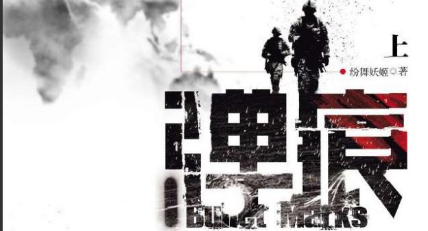 超好看特种兵言情文,特种兵小说推荐女生必看