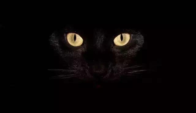 讲述真正的玄学灵异事件,不可思议的真实灵异故事