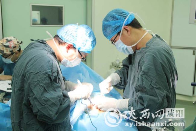 微创保胆取石手术全过程,保胆取石和微创取石有区别吗